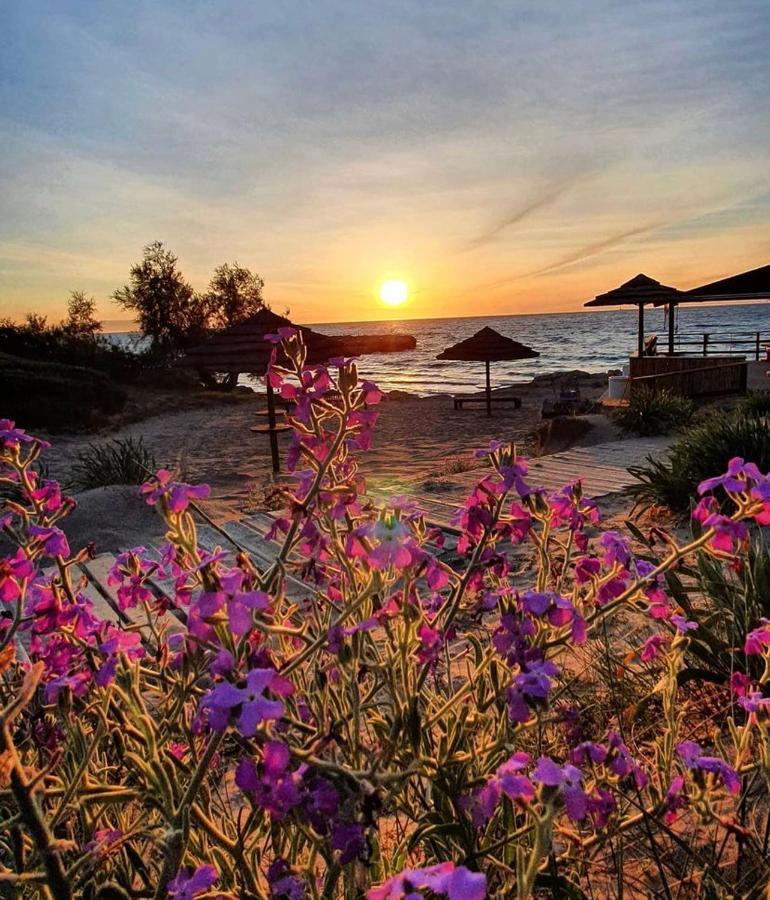 Gallipoli Mancaversa Futura Vacanza Andrea Marina di Mancaversa Exteriér fotografie